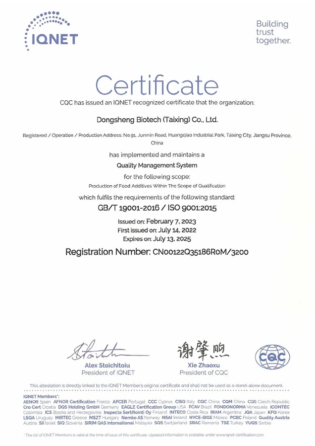 ISO9001 IQNET